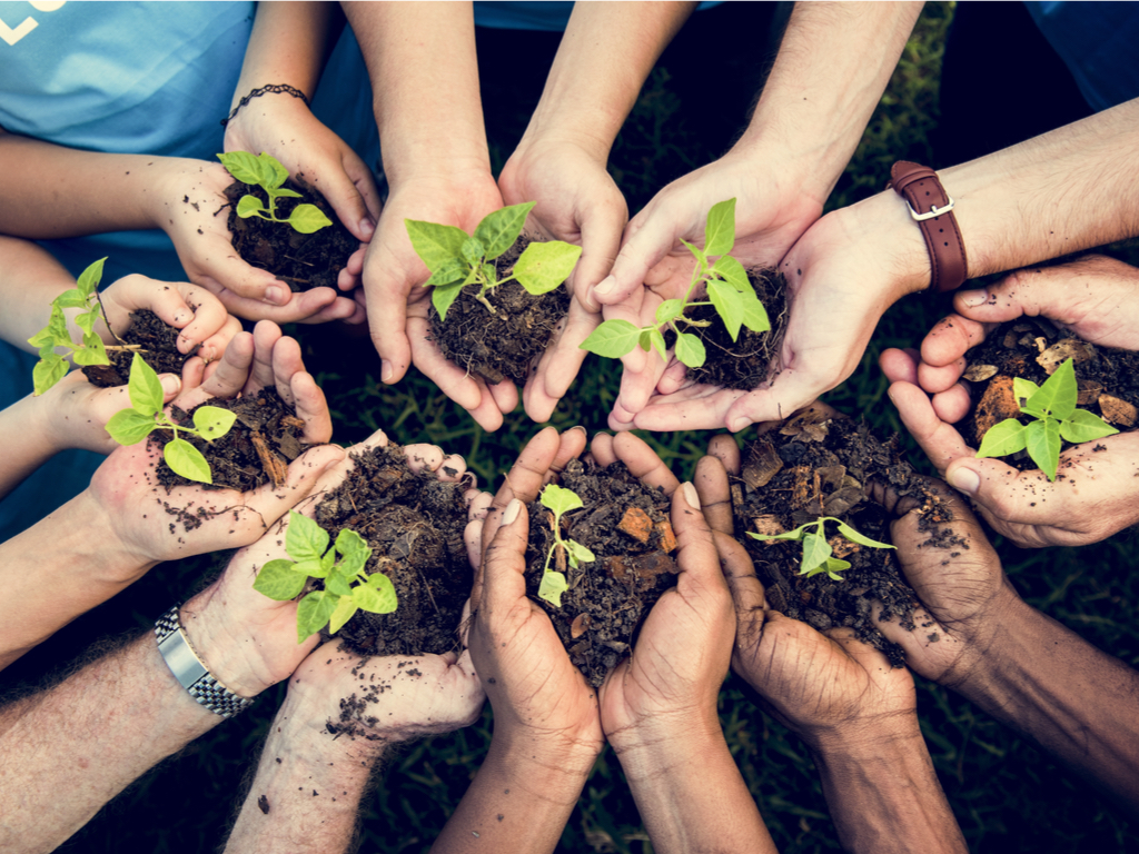 Plants growing in people's hands