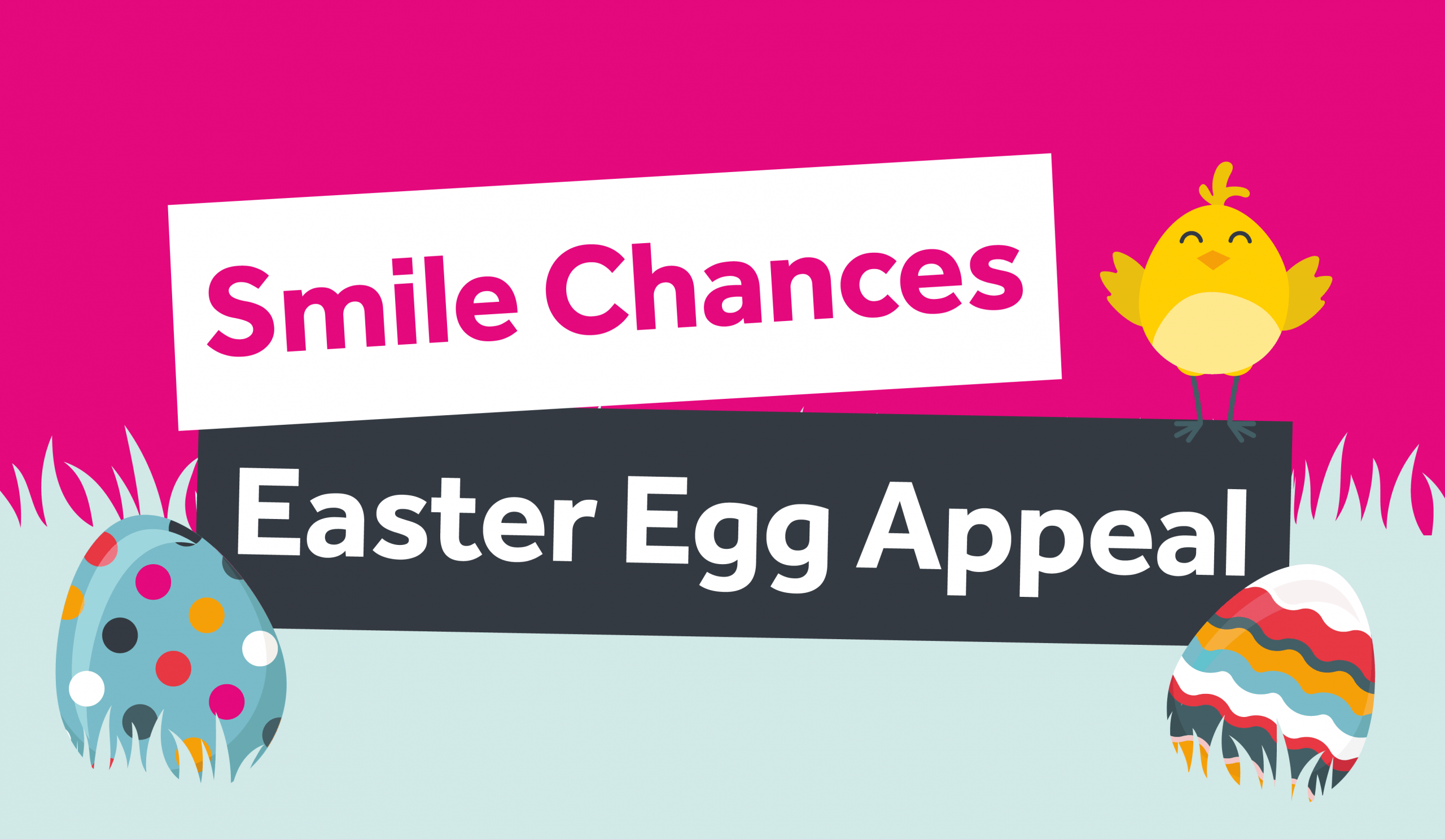 Smile Chances Easter Egg Appeal Report