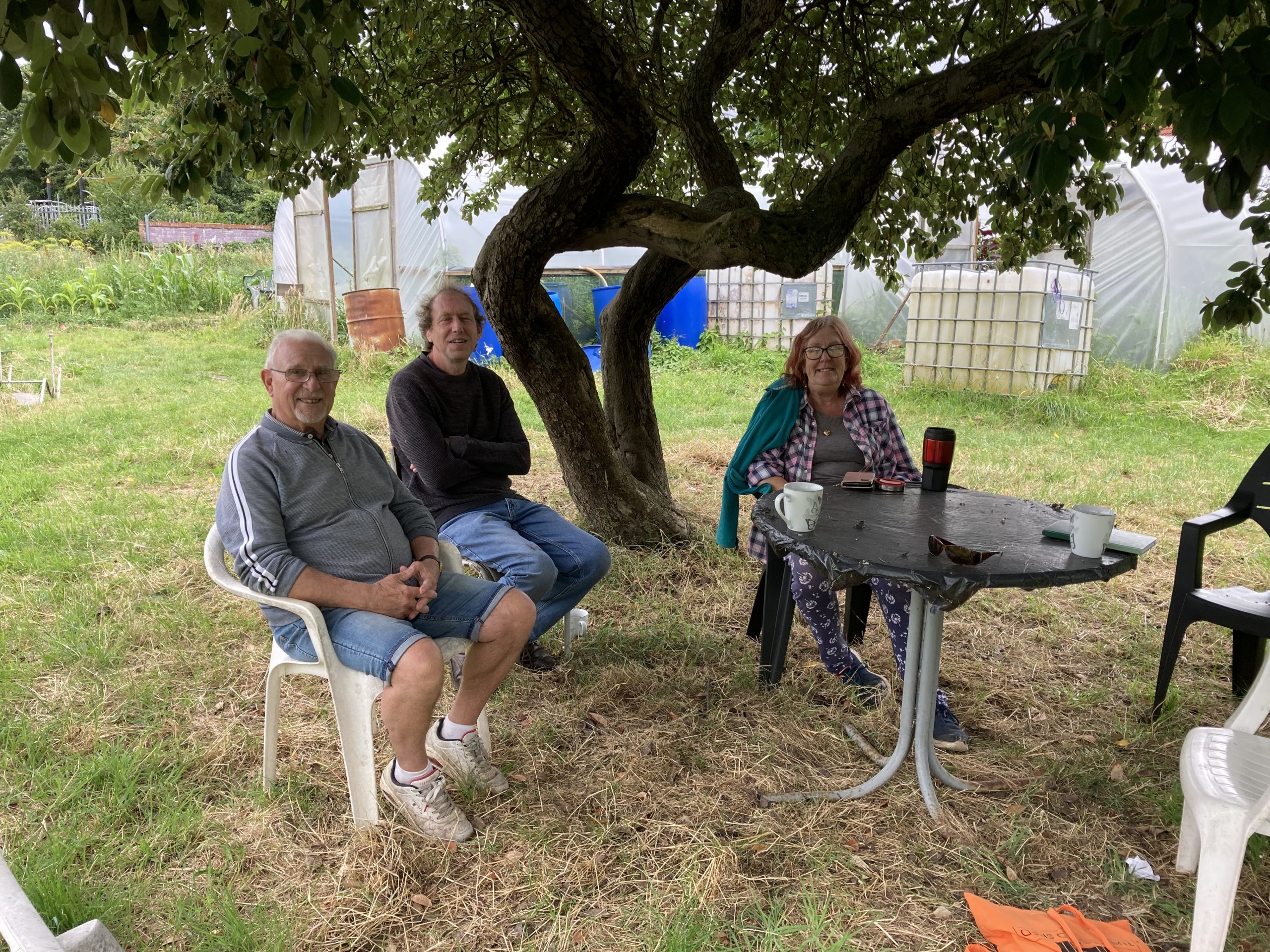 Celebrating National Allotments Week: Discover Friends of Constable Street Field