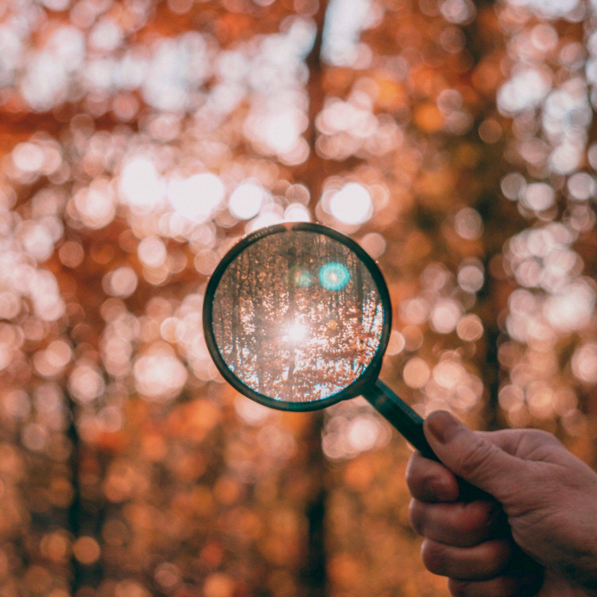Magnifying Glass in a forest